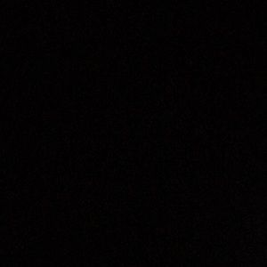 Meet your Posher, Daxon